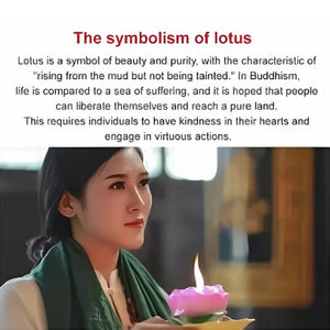 All Season Lotus Flower Hybrid Japanese Lotus Flower Seeds | 40 Seeds/Pack | 95% Germination Rate