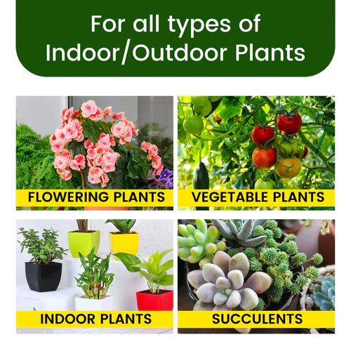 Plant Grow Fertilizer Sticks For Plants Multipurpose Plant Food Sticks For All Plants | Green Sticks Fertilizer For Home Garden - 50 Stick ( BUY 1 GET 1 FREE )