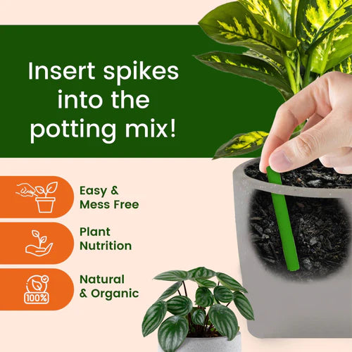 Plant Grow Fertilizer Sticks For Plants Multipurpose Plant Food Sticks For All Plants | Green Sticks Fertilizer For Home Garden - 50 Stick ( BUY 1 GET 1 FREE )