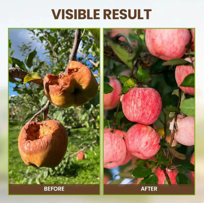 Soil Activator - Plant's Best Friend (BUY 1 GET 1 FREE)