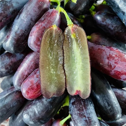 Sweet Sapphire Grapes Seed